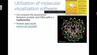 Utilization of Molecular Software 2016 IB Biology [upl. by Sethi]