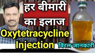 Oxytetracycline Injection Veterinary uses ऑक्सीटेटरासाइक्लिन इंजेक्शन का पशु चिकित्सा में उपयोग [upl. by Costanzia]