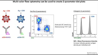 Lecture 7b Flow Cytometry [upl. by Harwill]