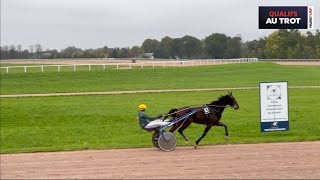 Qualifications Grosbois  Trot attelé  Lot 3 du 181024 [upl. by Stevena]