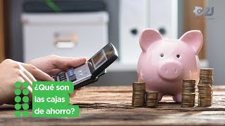 ¿Qué son las cajas de ahorro [upl. by Lonnard207]