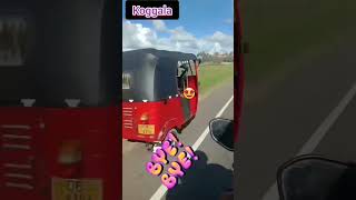 srilanka koggala trending Travelling [upl. by Rehportsirhc182]