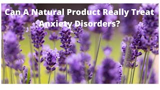 Can a Natural Product Actually Treat Generalized Anxiety Disorder [upl. by Naitsirc]