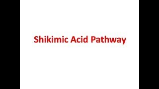 Shikimic Acid Pathway [upl. by Nivlam]