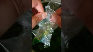 Crinkling sound of plastic bag opening asmrsounds shorts asmrshorts [upl. by Antipas]