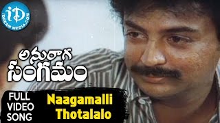 Naagamalli Thotalalo Song  Anuraga Sangamam Movie Songs  Ilayaraja Songs  Mohan Radha [upl. by Cupo217]