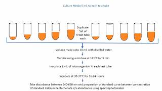 Microbial Assay of Calcium Pantothenate Vitamin B5 [upl. by Mcallister]