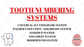 Tooth numbering systems  Universal system  Palmer’s notationZsigmondy system  FDI 2 digit system [upl. by Ramhaj]