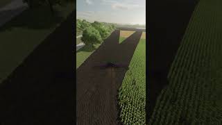 Plowing  Farming Simulator 22 [upl. by Aiuhsoj]