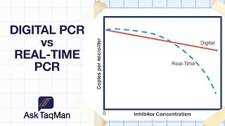 Digital PCR vs Realtime PCR  Ask TaqMan 30 [upl. by Nolyar91]