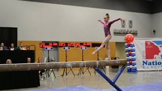 Paloma Spiridonova  Beam  2018 Auburn Elite Qualifier [upl. by Ysdnil626]