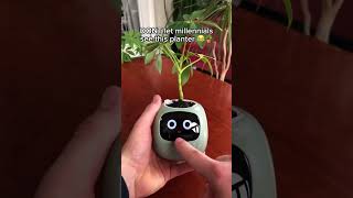 The best gift ever😍planter plants cuteplanter plantlover plantcare plantlife viral [upl. by Law]