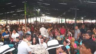 PICOTAZO De Monteria  Corralejas Cerete 2019 [upl. by Welcher]