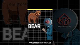 How Bear Spray Work 😱 पहली बार देखोगे ये facts shorts [upl. by Elvia]