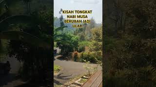 KISAH TONGKAT NABI MUSA JADI ULAR [upl. by Eiralav]