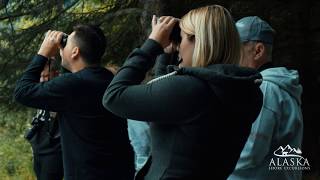 Chilkoot Lake Wildlife Viewing Tour  Haines Alaska [upl. by Ditmore291]