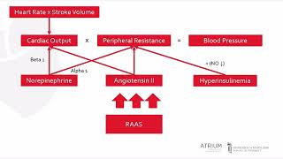 A Focus Series on Hypertension Pathophysiology [upl. by Even812]