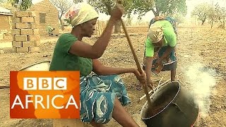 Shea butter in Ghana Hard labour for smooth skin [upl. by Bartolome]