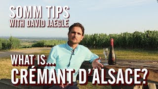 What is Crémant dAlsace  Somm Tips with David Jaegle [upl. by Ellahcim470]