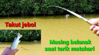 Untung gak jebol Mancing belanak di teriknya matahari lilimashuri6253 [upl. by Ohara]