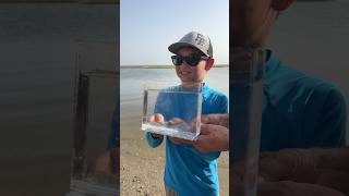 1 BILLIONTH Fish release TexasFishing [upl. by Annaerb]