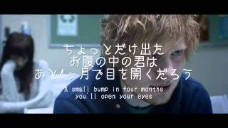 【洋楽劇場】Small Bump  Ed Sheeran 歌詞＆和訳 [upl. by Camfort165]