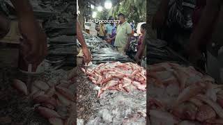 muttom palakkod fishlanding puthiyangadi [upl. by Nugent]