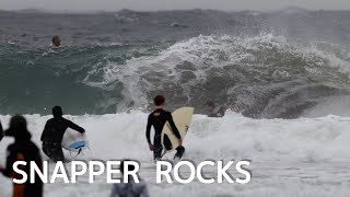 SNAPPER ROCKS 06072024 [upl. by Caryn814]