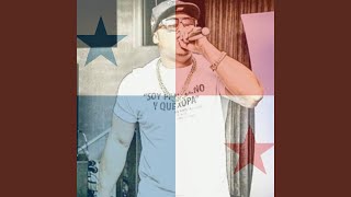 Soy Panameño feat Dj Kartel [upl. by Ballard646]