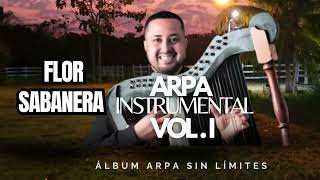 6 Flor Sabanera  Arpa Instrumental arpa arpallanera [upl. by Tobiah312]