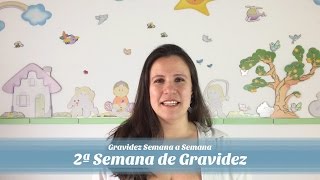 2ª Semana de gravidez [upl. by Dibb79]