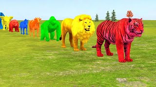 Long Slide Game With Elephant Gorilla Buffalo Hippopotamus Tiger  3d Animal Game  Funny 3d Animals [upl. by Nelag694]