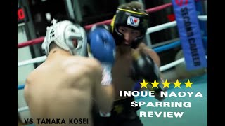 이노우에 나오야 최근 스파링 리뷰 Inoue naoya sparring review [upl. by Mallon]