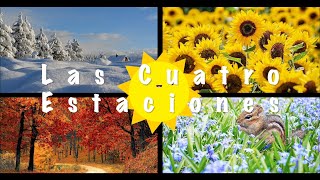 Las Cuatro Estaciones Seasons in Spanish  Mi Camino Spanish [upl. by Mail]