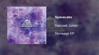 Steinzeit Junior quotSpacecakequot official audio [upl. by Netsua]