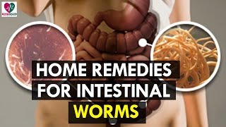 Home Remedies for Intestinal Worms  Health Sutra [upl. by Apurk142]