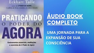 ÁUDIO BOOK PRATICANDO O PODER DO AGORA ECKHART TOLLE áudio completo [upl. by Rosalynd137]