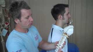 How to perform a Osteopathic HVT  Grade 5 spinal manipulation of C7T1  Cervical Dorsal Junction [upl. by Nickelsen]