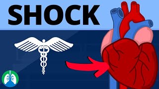 SHOCK V4l SEPTIC SHOCK I STAGES OF SHOCK [upl. by Amiaj]