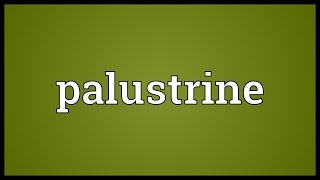 Palustrine Meaning [upl. by Rebliw]