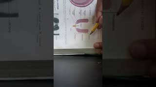 EMBRYOLOGICAL Development of UROGENITAL SYSTEM part 1 DEVELOPMENT OF KIDNEY Part 1 of 2 [upl. by Yrebmik348]