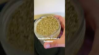 Perlite vs Vermiculite  Soil Amendments [upl. by Chellman]