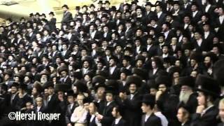 Fantastic Hasidic Dance [upl. by Moran]