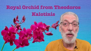 Royal Orchid from Theodoros Kalotinis  JaysBeardcom [upl. by Moseley450]