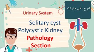 Solitary Kidney cyst and Polycystic Kidney Pathology Section شرح علي جارات [upl. by Kcirdor227]