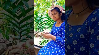 කන්න කිව්වොත් ඕනි එකක් 🤤😋  viralvideo shortsfeed shorts deepawali [upl. by Naresh]