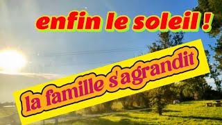 La famille sest agrandie  nomad vanlife salamdre [upl. by Anairuy]