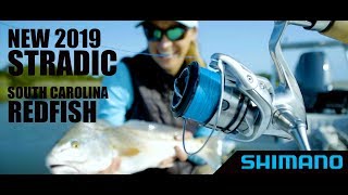 2019 Shimano Stradic FL [upl. by Cown]