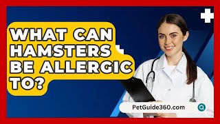 What Can Hamsters Be Allergic To  PetGuide360com [upl. by Ahron669]