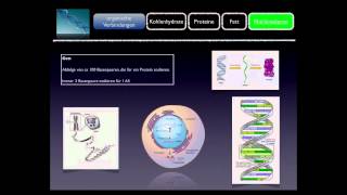 Basiskurs BiochemieChemie Nukleinsäuren Teil 1010 [upl. by Edee]